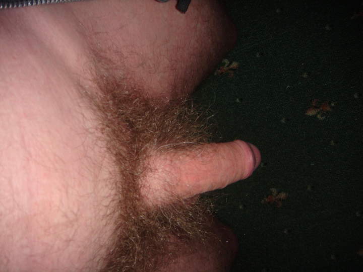 Adult image from WILLTRIGGER