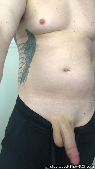 Adult image from steelwood