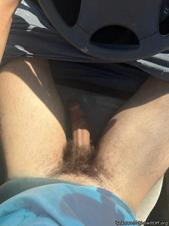 Hairy horse cock