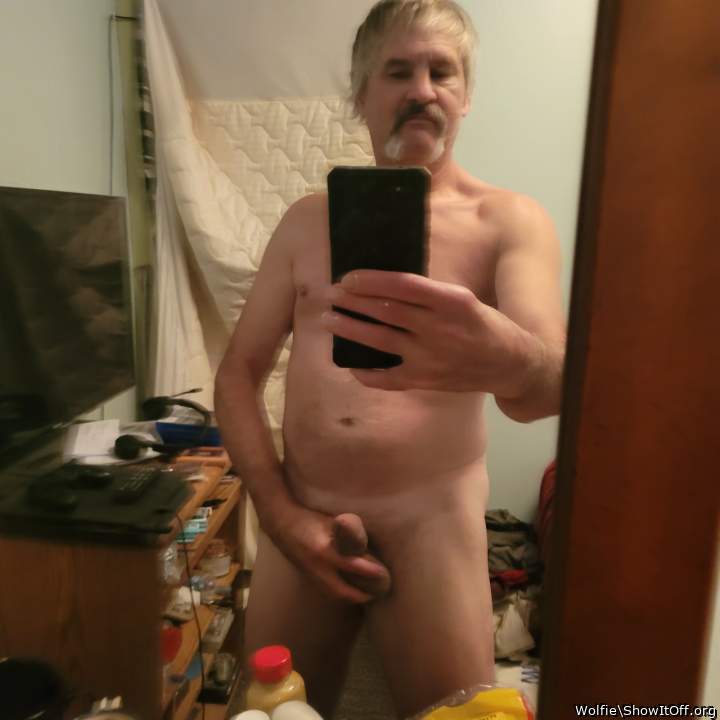 Adult image from Wolfie