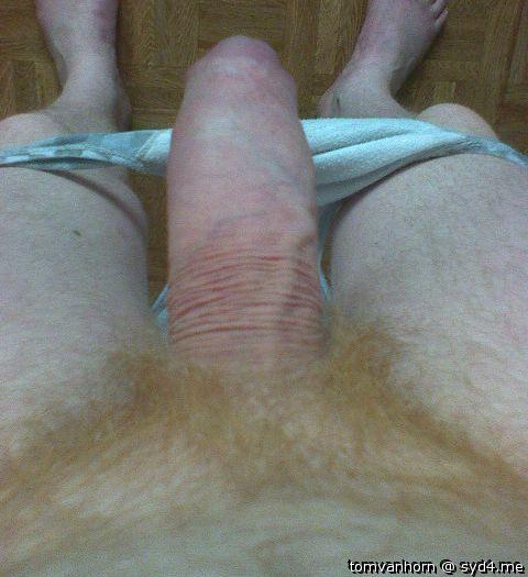Adult image from tomvanhorn