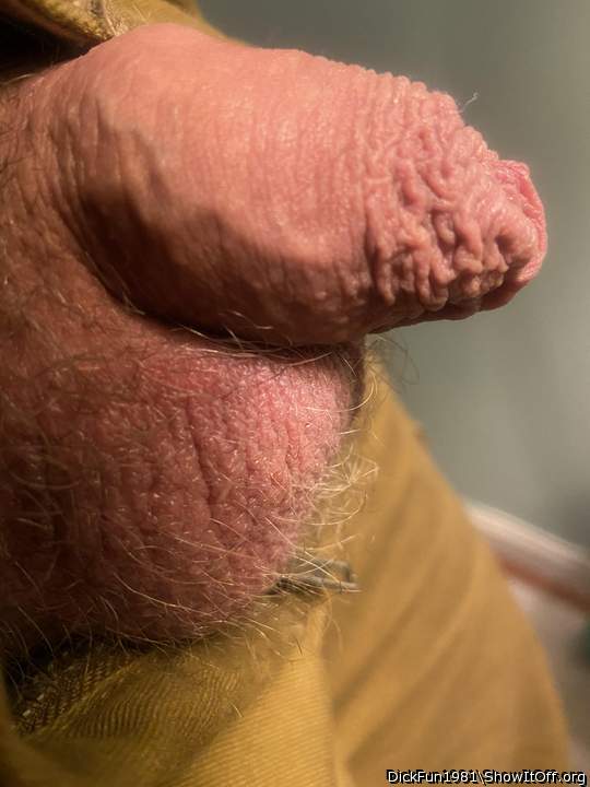Wow just beautiful love your cock ❤️