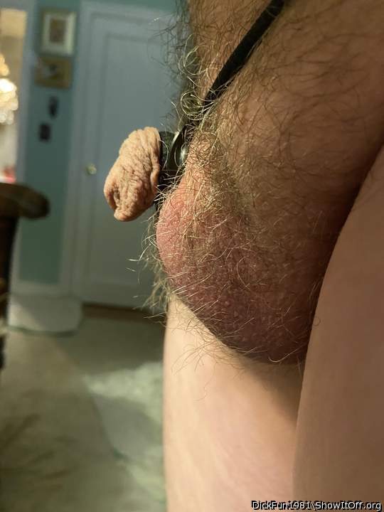 Adult image from DickFun1981