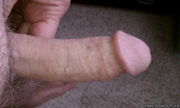 Adult image from cheesi