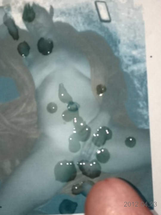Adult image from Lfcdude05