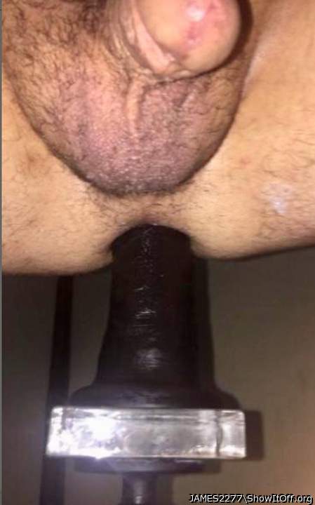 Adult image from JAMES2277