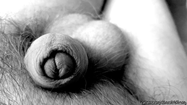 Adult image from calientearg