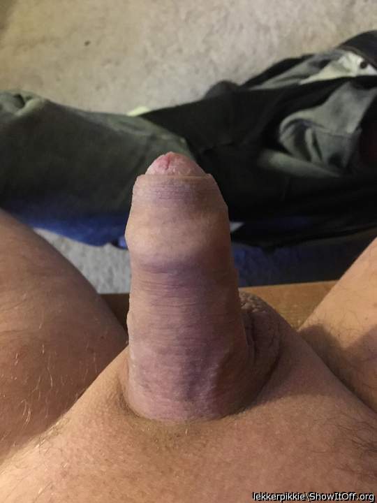 jouw lul ziet er erg geil uit hoor; zou ik graag 'ns willen 