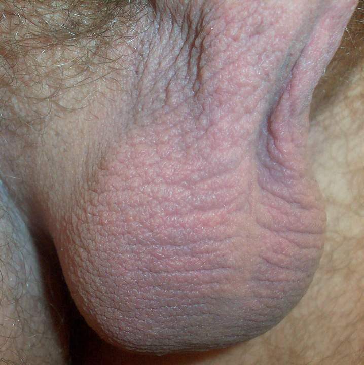 Adult image from lilsoftee