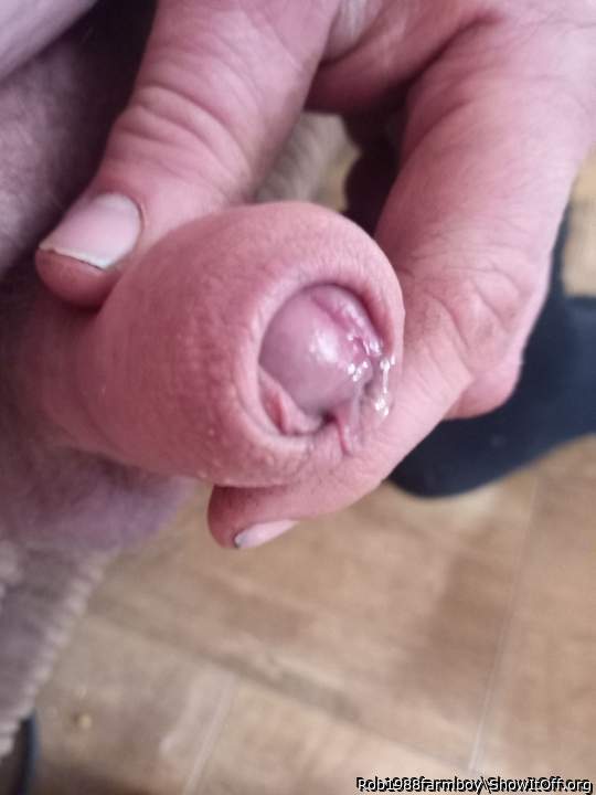 Adult image from Rob1988farmboy