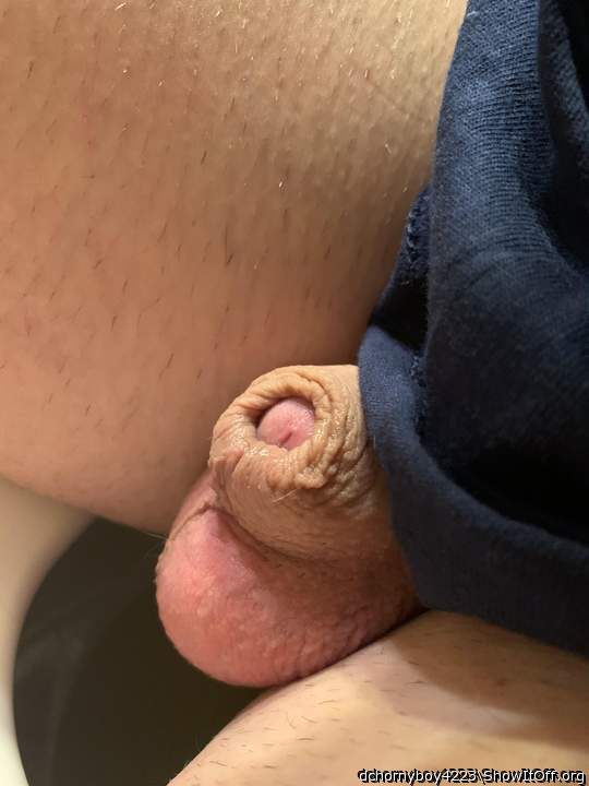 Adult image from dchornyboy4223