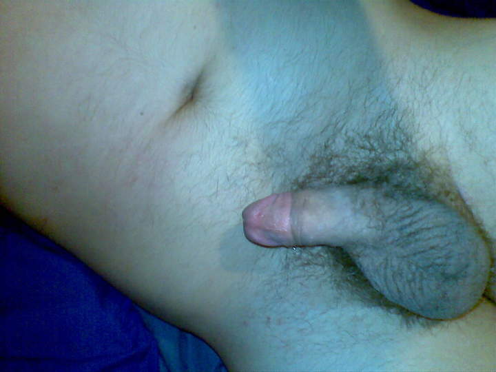 Adult image from 450