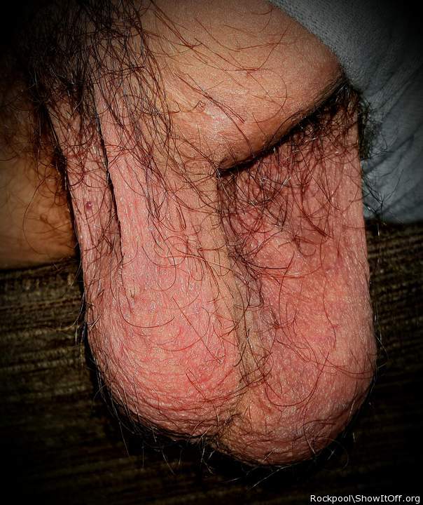 Adult image from Rockpool