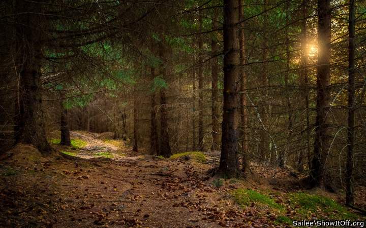 Have you run nude through a forest.