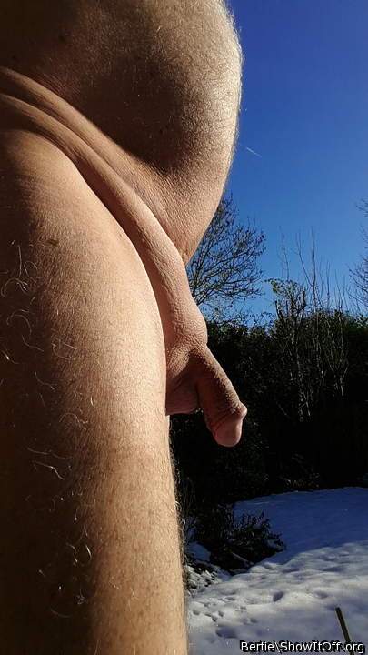 Adult image from Bertie