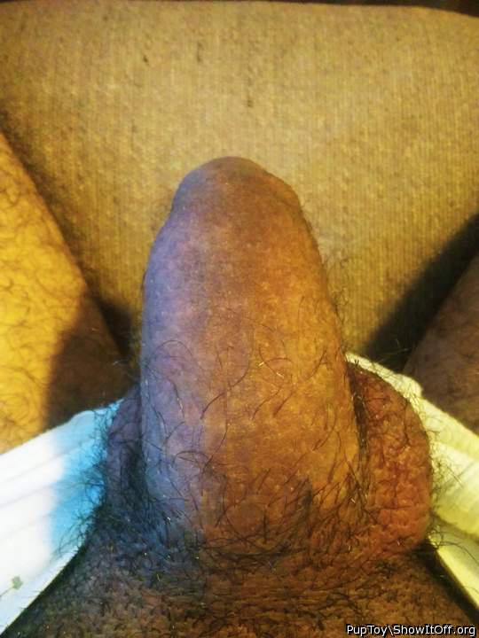 Adult image from PupToy