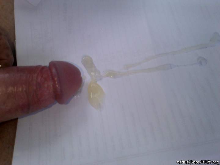 Adult image from netlus