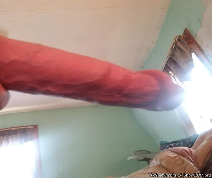 Adult image from XxNastyhabitsxX