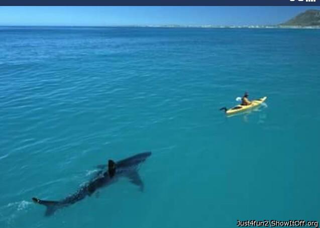 Adult image from just4fun2