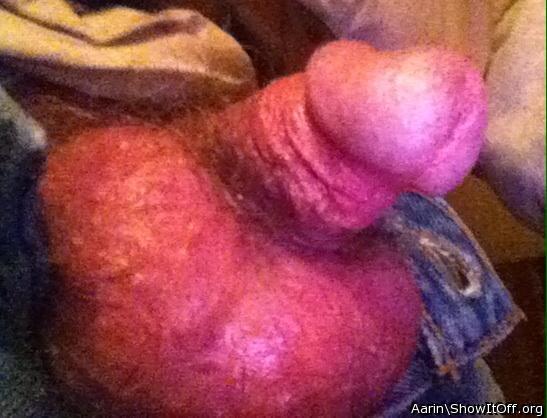 Adult image from Arinn