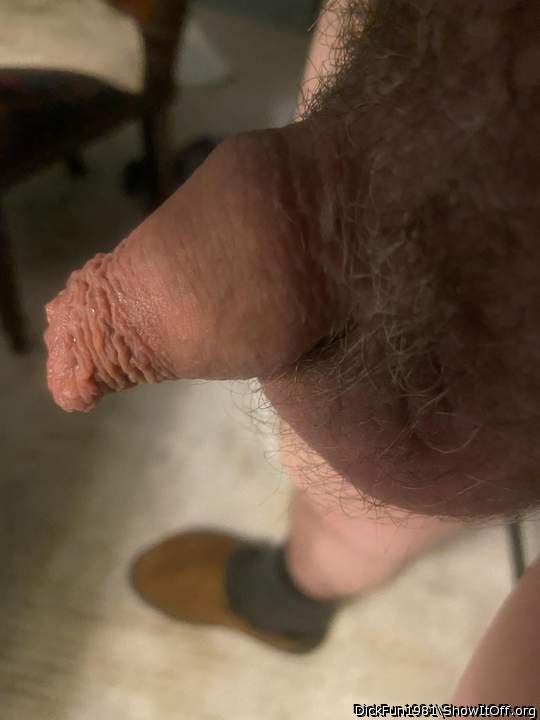 Adult image from DickFun1981