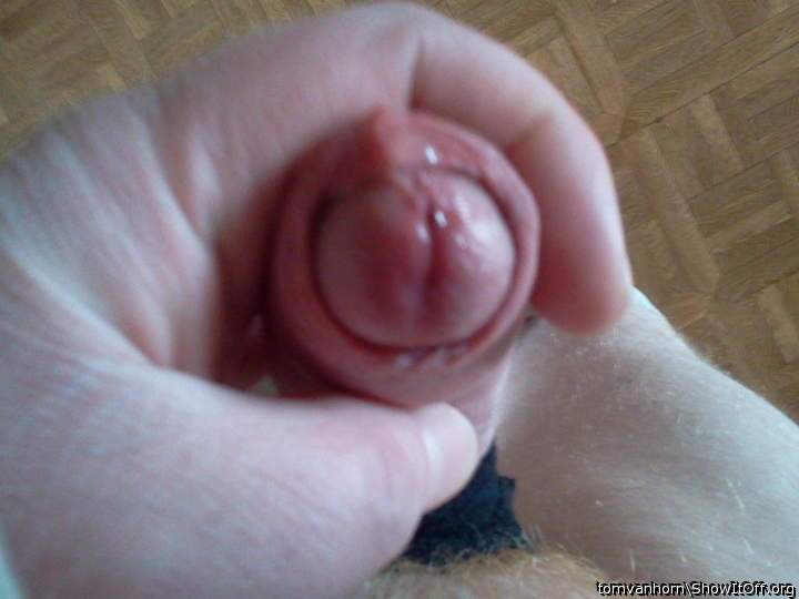 Adult image from tomvanhorn