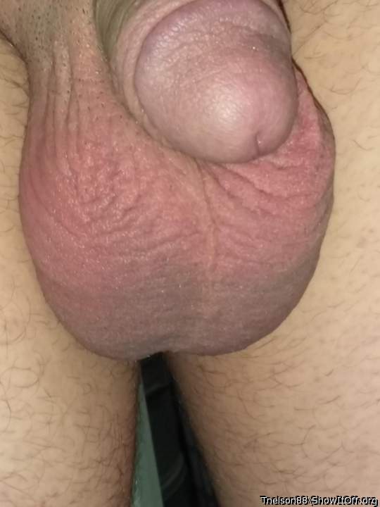 Adult image from Tnelson88
