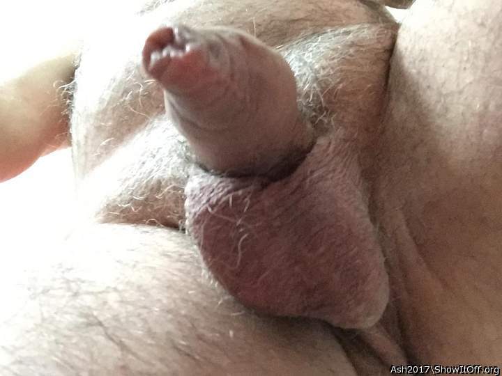 Adult image from Ash2017