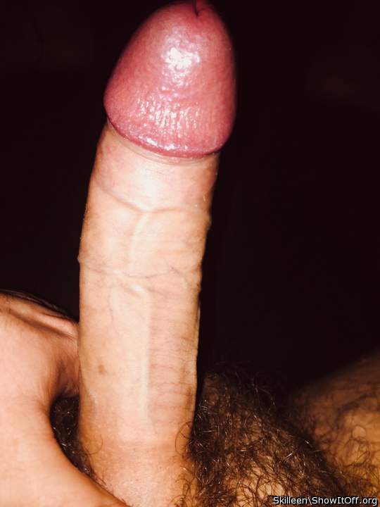 Looks long and stiff.. beautiful head