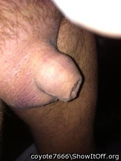 Adult image from coyote7666