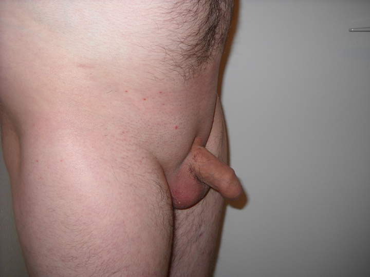 Adult image from phil