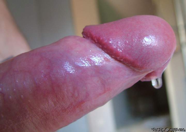 Adult image from vtbartje