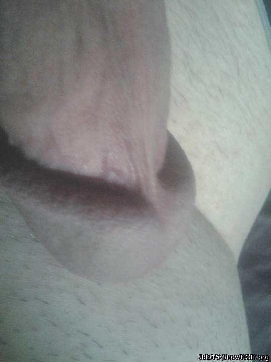 Adult image from Jblb16