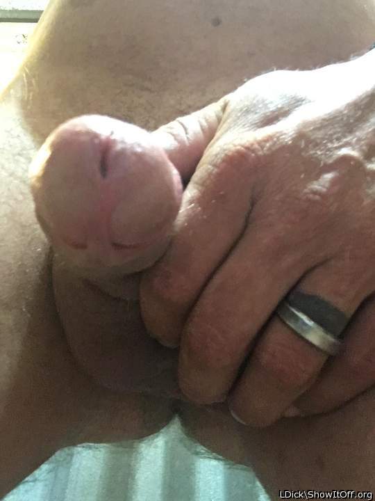 Adult image from LDick