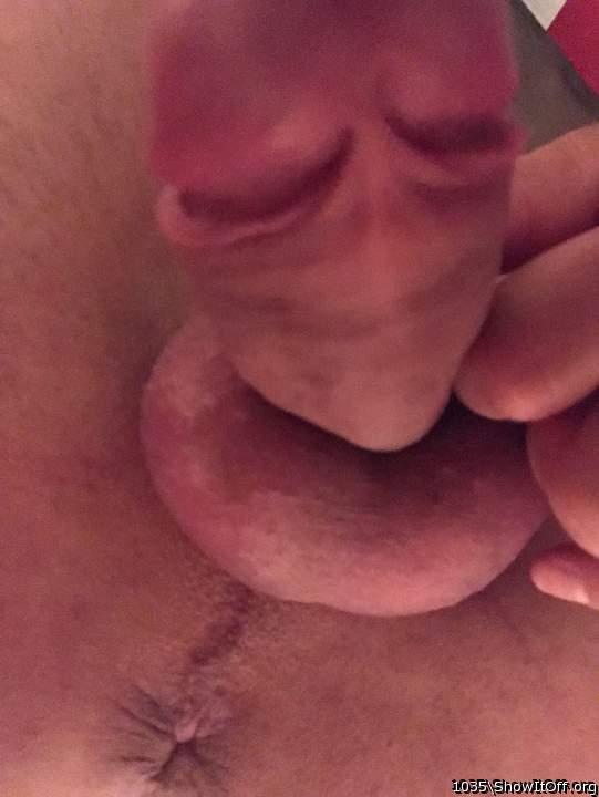 Adult image from 1035