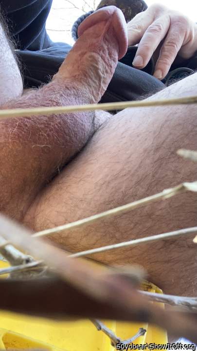 I hope that�s not an electric fence