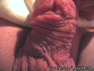 Adult image from Soerencut