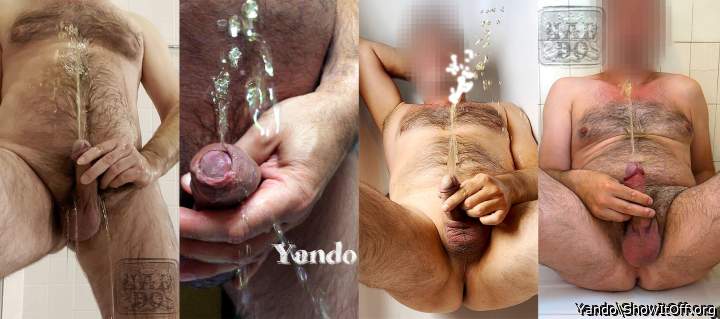 Yando 1237
