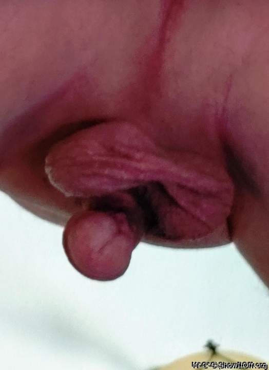 Adult image from M*C*S