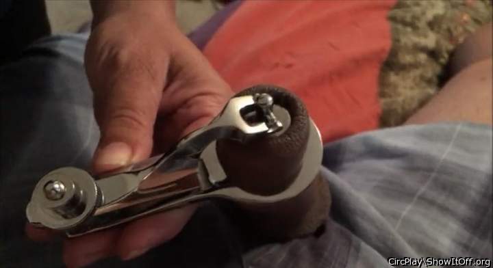 Adult image from CircPlay