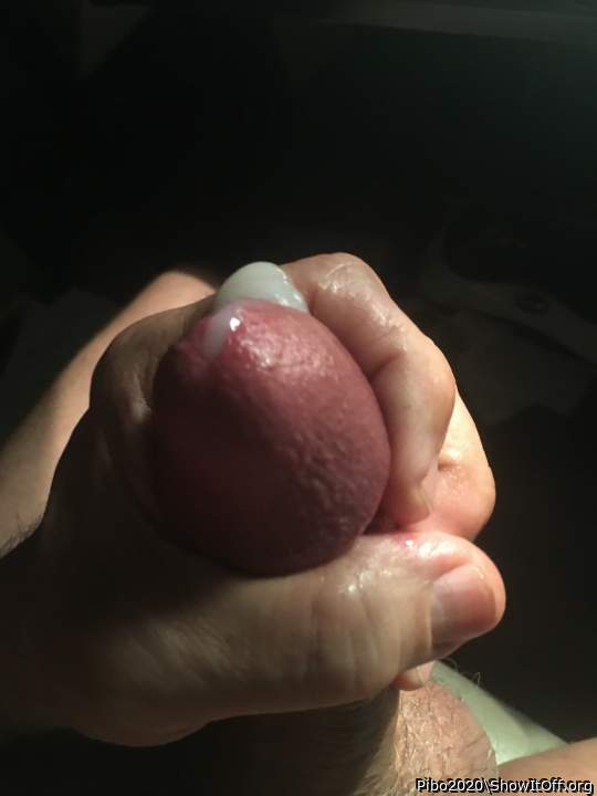 Adult image from Pibo2020