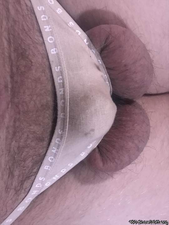 Adult image from 450