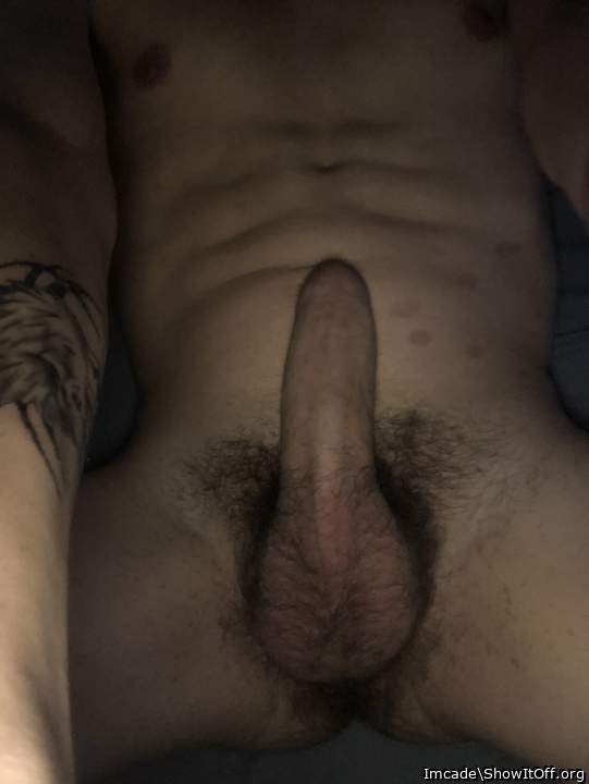 Adult image from Imcade