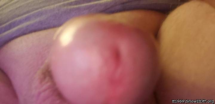 Adult image from tt1969