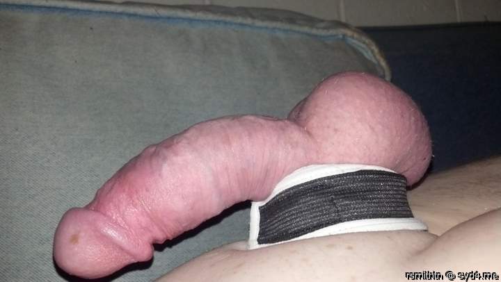 Adult image from rsmithtn