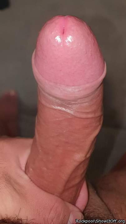 Adult image from Rockpool