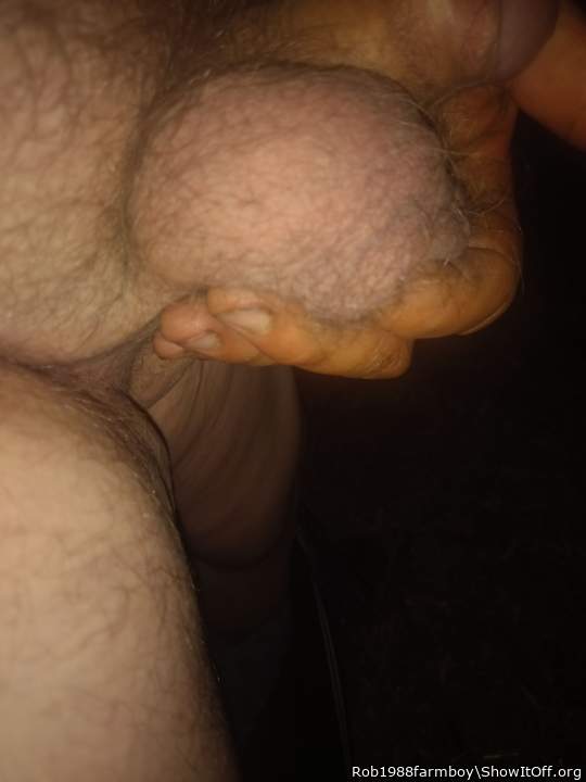 Adult image from Rob1988farmboy