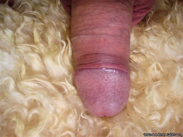 Adult image from dischwa