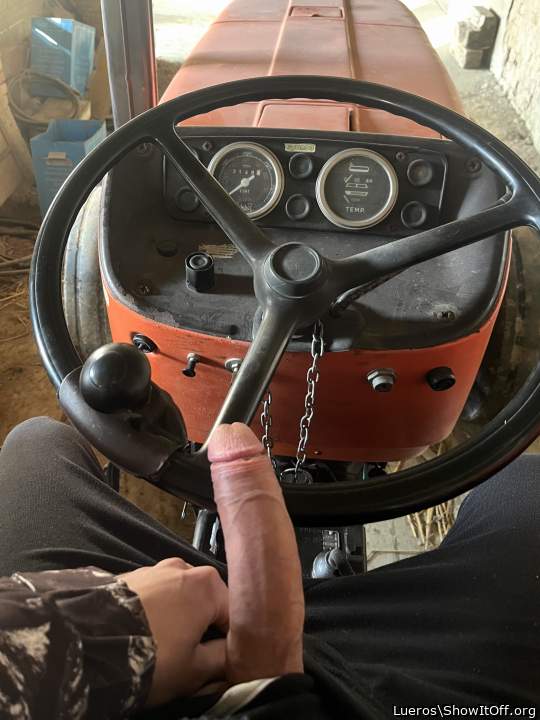 My horse on traktor