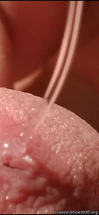 Adult image from Freeze